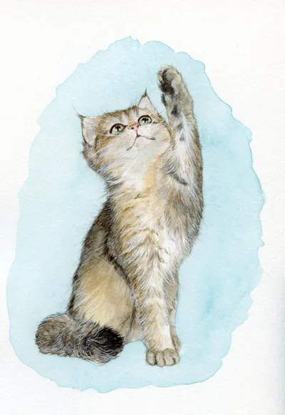 Watercolour portrait of a cat