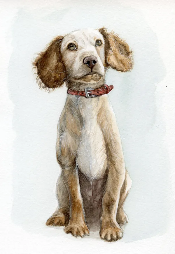 Watercolour portrait of a dog with a regal red collar