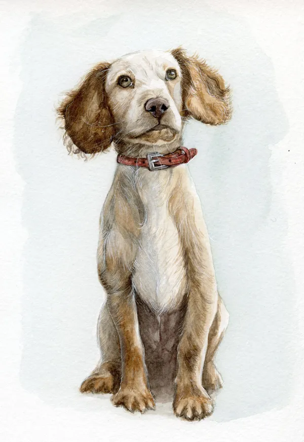 Watercolour portrait of a dog with a regal red collar