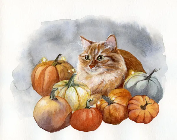 Watercolour portrait of a cat with pumpkins