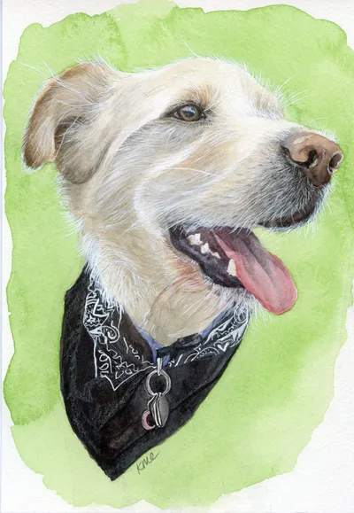 Watercolour portrait prints