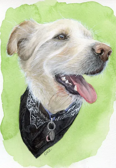 Watercolour portrait prints